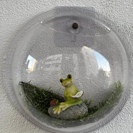 Frog House - Plazh, * Durrës